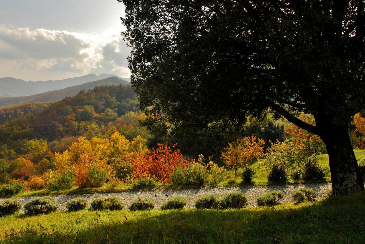 Agriturismo Giandriale Tavarone Zewnętrze zdjęcie