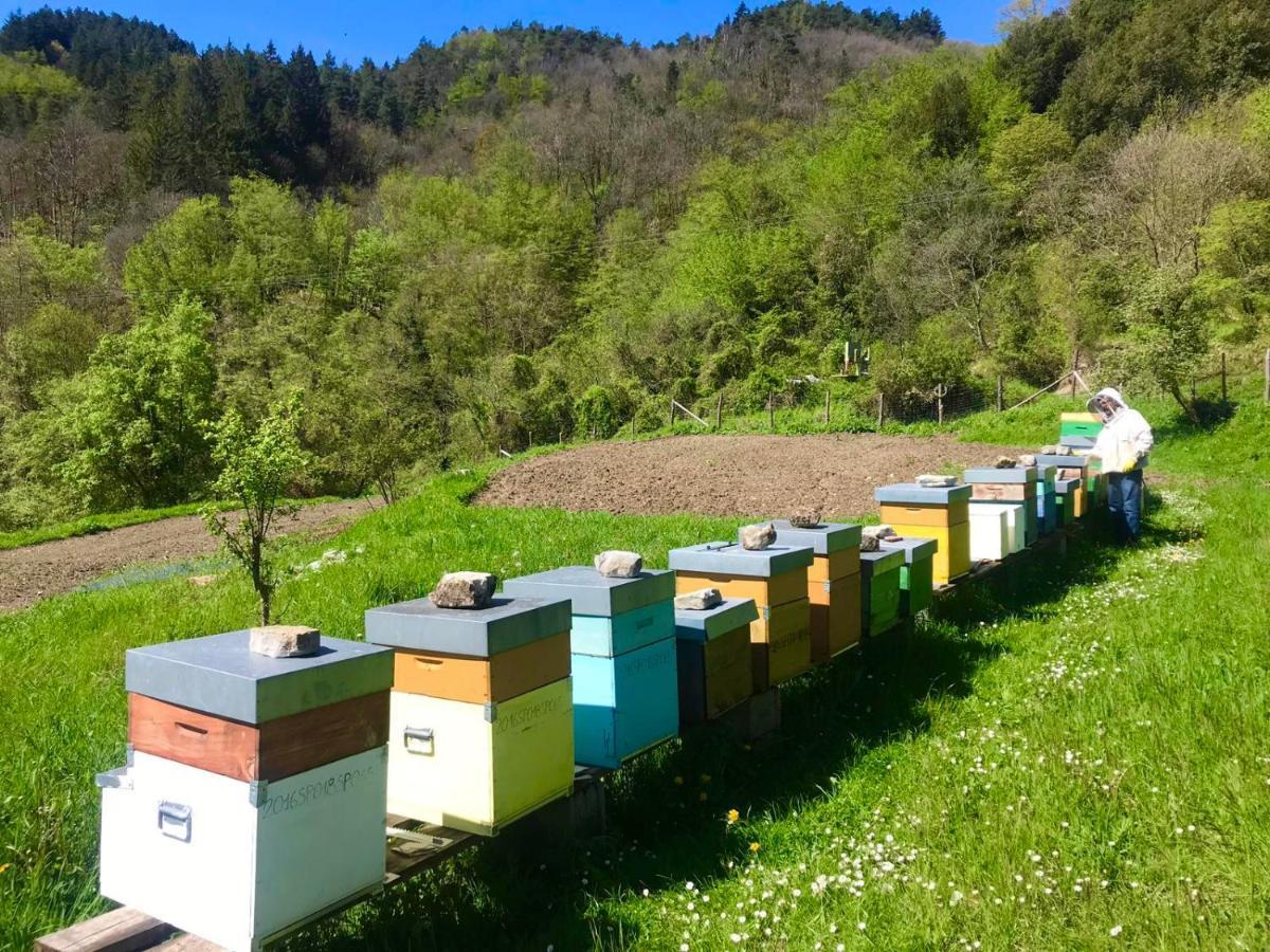 Agriturismo Giandriale Tavarone Zewnętrze zdjęcie