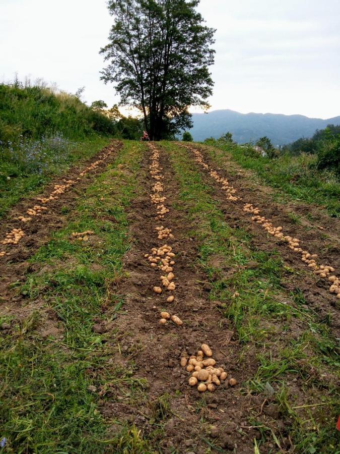 Agriturismo Giandriale Tavarone Zewnętrze zdjęcie